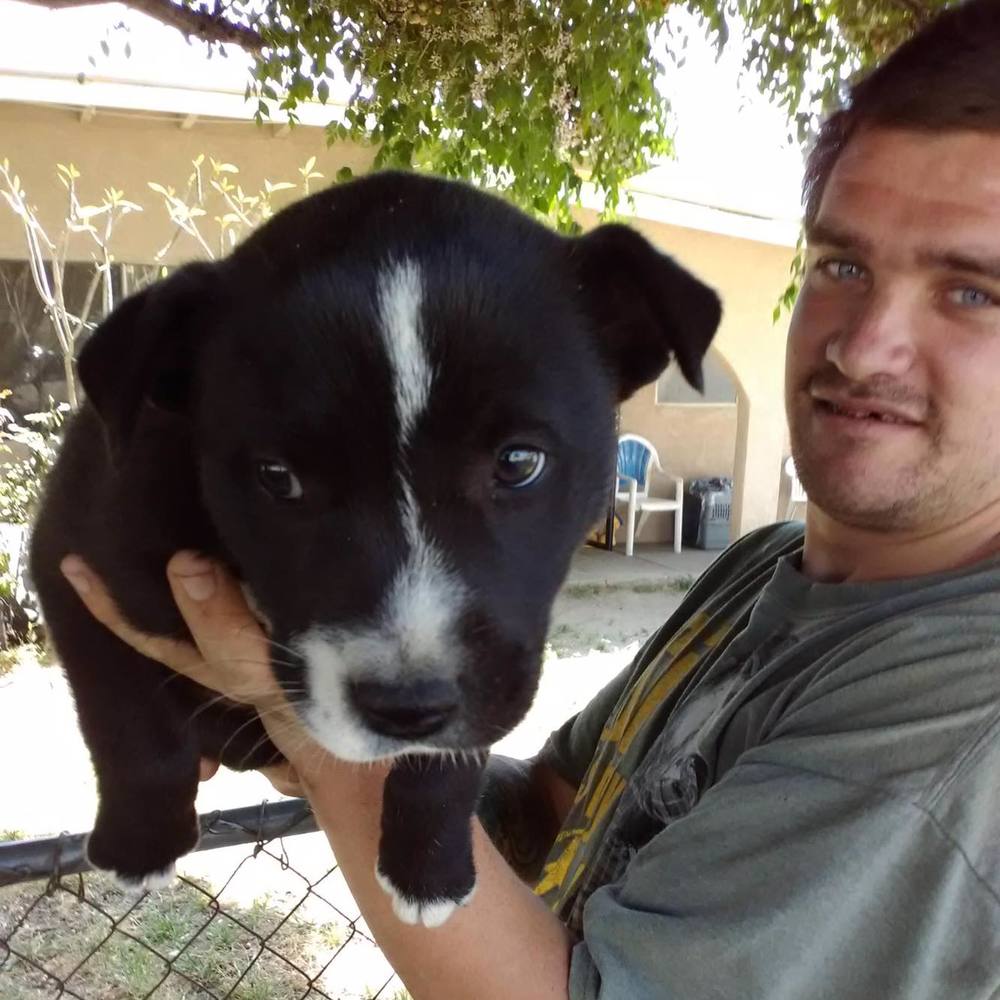 Meet your Posher, James